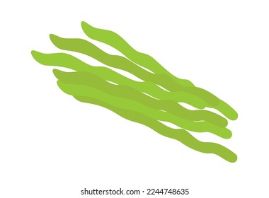 Pod beans flat icon Organic vegetables. Vector illustration