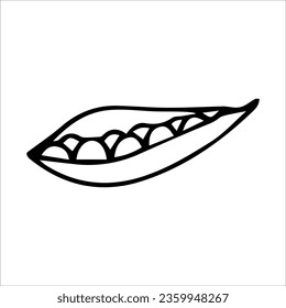 Pod green peas. Vector black and white hand-drawn illustration. Silhouette, icon, logo, sketch, template, doodles.