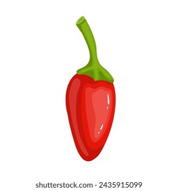 Pod of hot, burning chili pepper. Ripe vegetables. Vector graphics