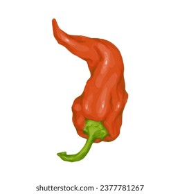 Pod de pimiento picante rojo. Gráficos vectoriales.