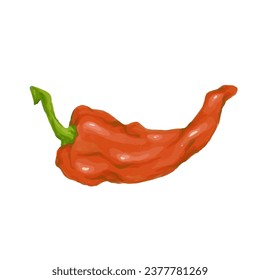 Pod of red hot chili pepper.Vector graphics.