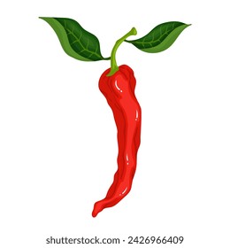 A pod of ripe red chili pepper. Vector graphics.