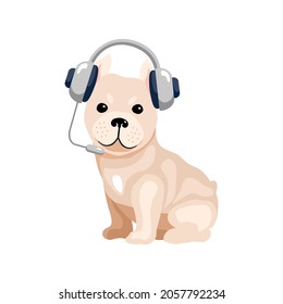 Podcast. A cute French Bulldog with headphones and a microphone leads the podcast. Icon for website, audiobook app, podcasts, radio and literature. Vector flat illustration, cartoon style.