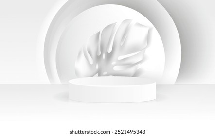 Podium display white and grey background with monstera tropical leaf. Empty room studio texture. Geometric circles wall vector design.