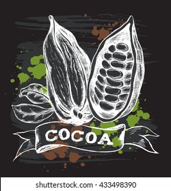 The pods of cocoa beans. Hand drawn Vector illustration on the blackboard.