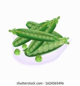 
Pods of fresh green peas isolated on a white background. Vector illustration.