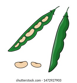 Pods of green bean and beans. String beans Vector illustration cartoon flat icon isolated on white background