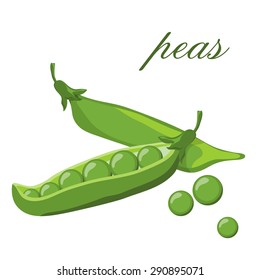 pods of green peas isolated vector illustration