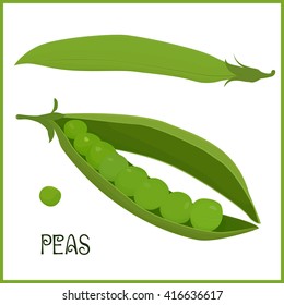 pods of green peas isolated vector illustration