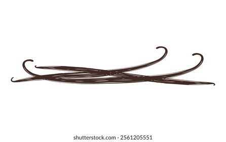 Pods sticks vanilla. Set of vanilla sticks for design. Sketch stylized brown drawing isolated on white background. Vector illustration