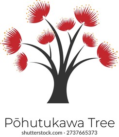 Pohutukawa tree vector illustration. Stylized New Zealand native flower emblem. 