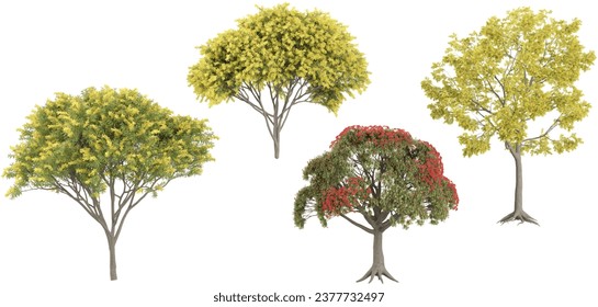 Pohutukawa,Common Rabbitbrush ,Acacia Trees isolated on white background