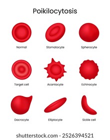 Poikilocytosis Abnormal Variation in Shape