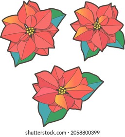 Poinsetia flower vector illustration. Christmas decor.