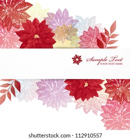 poinsettia background