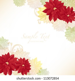 poinsettia background