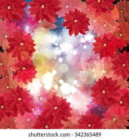 poinsettia background