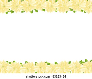 poinsettia background