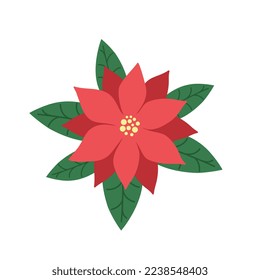 Poinsettia. Christmas Star. Icon flower. Vector illustration on a white background. Flat cartoon style.