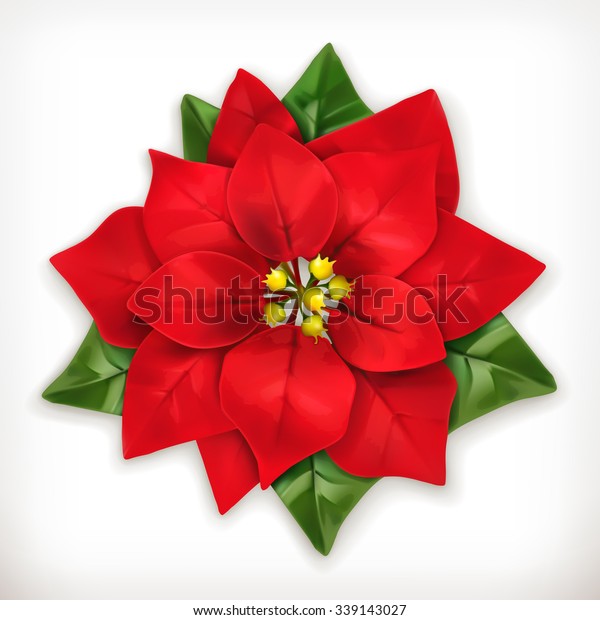Poinsettia Christmas Star Vector Icon Stock Vector (Royalty Free ...