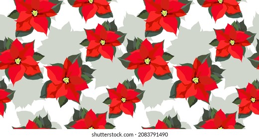 Poinsettia floral vector seamless pattern
