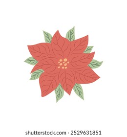 Poinsettia flower bud isolated on white background. Christmas red flower. Vector hand drawn illustration