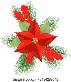 Poinsettia flower for Christmas with leaves vector illustration 