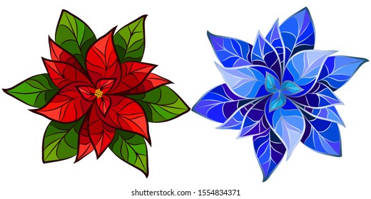 

Poinsettia Flower / Christmas Star. Set of two colorful images of poinsettia flower / Christmas star on a white background.