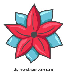 Poinsettia  Flower in doodle style. Christmas Flower isolated on white background. Christmas and New Year items. Holiday decoration elements for design, greeting card, posters, postcard