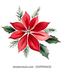 Poinsettia flower with leaves. Watercolor Christmas flower. Red flower illustration