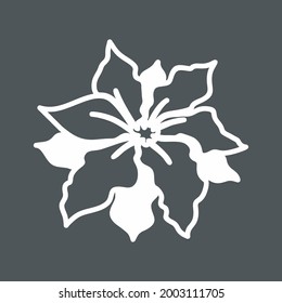 Poinsettia flower quality vector illustration cut