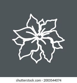 Poinsettia flower quality vector illustration cut