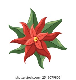 Poinsettia flower red bloom Christmas holly lush bud blossom seasonal traditional herbs decor