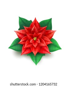 Poinsettia flower, red blossom star for merry christmas, new year holiday decoration. Realistic bethlehem star for winter seasonal sales, discounts, greeting cards design. Vector illustration