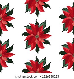 Poinsettia flower seamless on white background