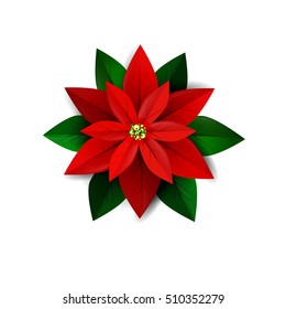 Poinsettia flower, symbol of Christmas