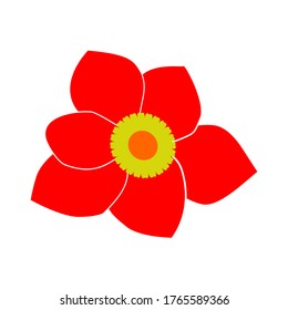Poinsettia flower vector design isolated white