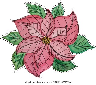 Poinsettia Flower Watercolor Christmas Vector