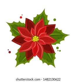 Poinsettia flowers isolated icon for Christmas or New Year greeting card design. Vector realistic poinsettia plant with star flower and leaf for Xmas winter holiday decoration