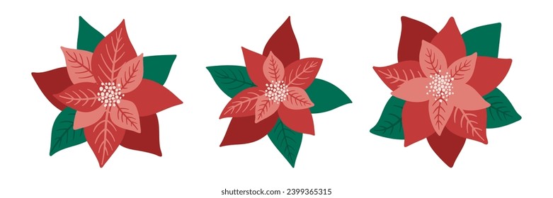 Poinsettia flowers vector set. Floral decorations for Christmas tree wreaths or greeting card designs. Illustration of traditional poinsettia bloom flowers of winter and New Year holiday elements.