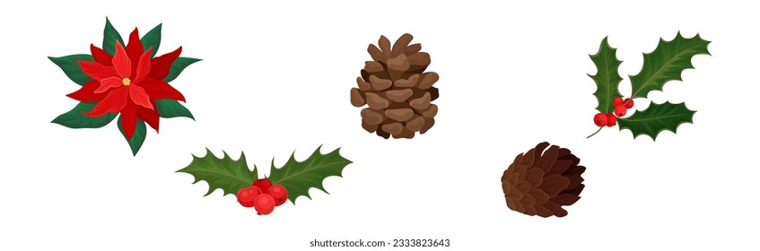 Poinsettia, Holly Berry and Cone as Winter Plant Vector Set