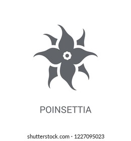 Poinsettia icon. Trendy Poinsettia logo concept on white background from Nature collection. Suitable for use on web apps, mobile apps and print media.
