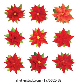 Poinsettia icons set. Cartoon set of poinsettia vector icons for web design