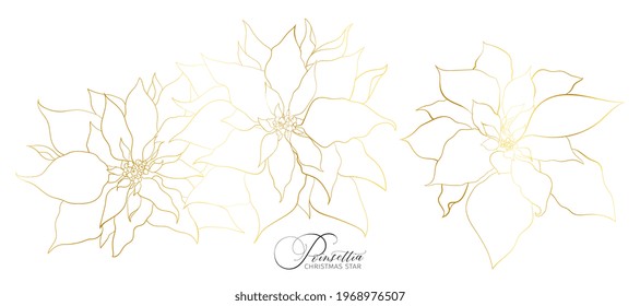 Poinsettia inflorescence in an elegant golden line