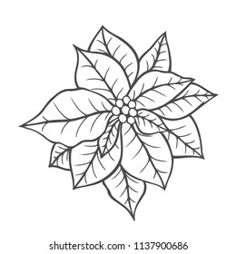 Poinsettia Drawing Images, Stock Photos & Vectors | Shutterstock