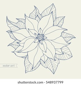 Poinsettia isolated, christmas flower. Vintage vector artwork. Boho. Coloring book page for adult. Hand drawn. Holiday concept for greeting card, gift, branding, boutique logo, label