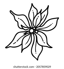 Poinsettia linear icon. Black and white vector illustration in hand-drawn style.