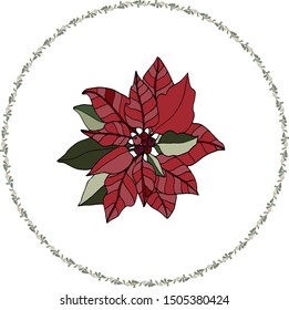 Poinsettia and mistletoe flowers for Christmas or New Year greeting card design. Vector realistic poinsettia plant with star flower and leaf for Xmas winter holiday decoration