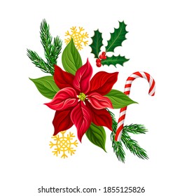 Poinsettia Red Flower and Fir Branch as Christmas Vector Composition