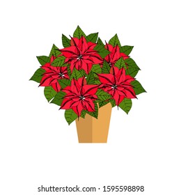 Poinsettia red flower in pot art design object isolated stock vector illustration for web, for print